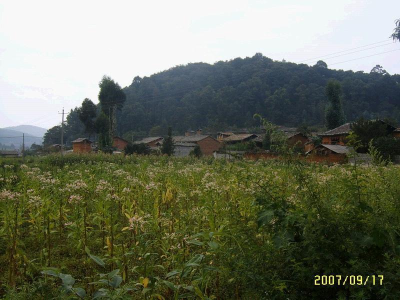 文筆山村(雲南省文山州丘北縣錦屏鎮下轄村) 文筆山村(雲南省文山州丘北縣錦屏鎮下轄村)
