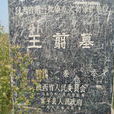 王翦墓 王翦墓