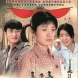 女工(2008年張輝力執導電視劇)
