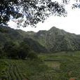 建國村(貴州黔東南苗族侗族自治州建國村) 建國村(貴州黔東南苗族侗族自治州建國村)