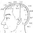 上星穴 上星穴