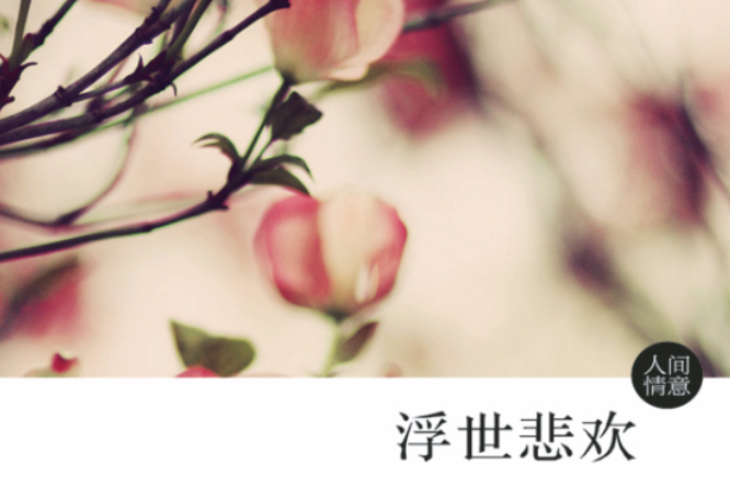 浮世悲歡 浮世悲歡