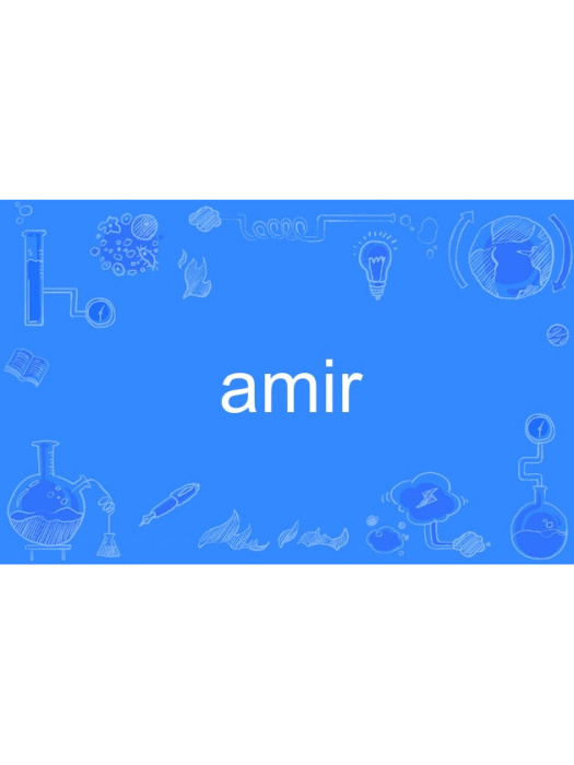 amir(英語單詞) amir(英語單詞)