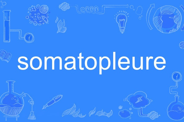 somatopleure somatopleure