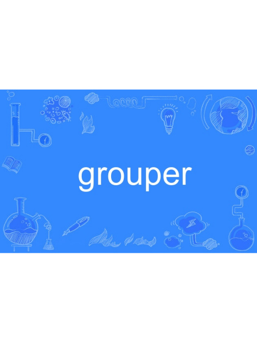 Grouper Grouper