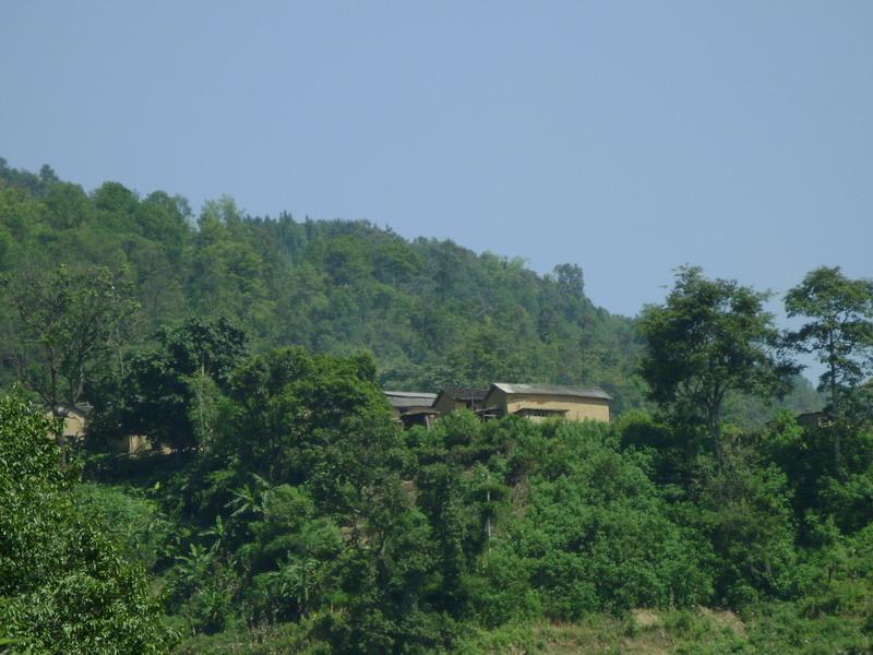 合天村 合天村