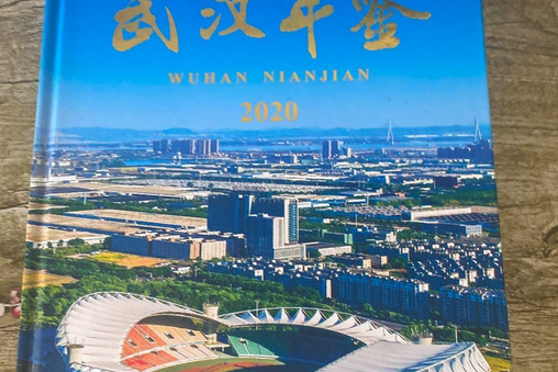 武漢年鑑(2020) 武漢年鑑(2020)