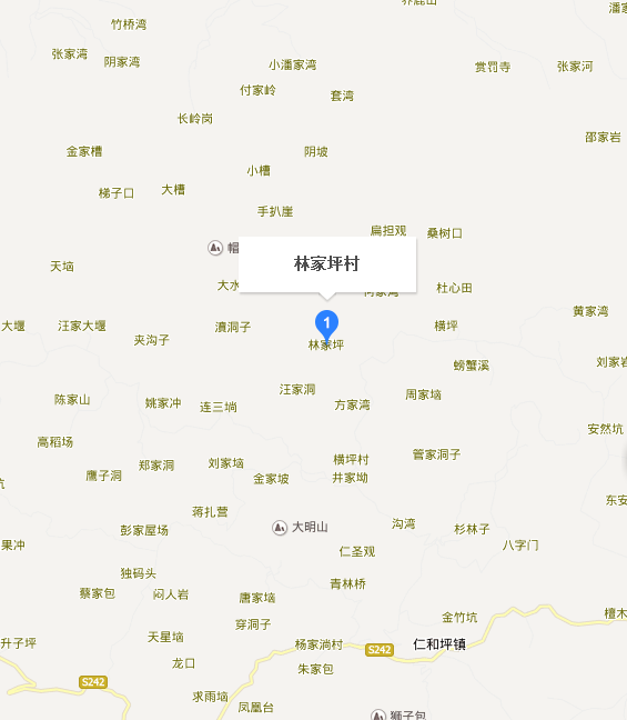 林家坪村(湖北省宜昌市五峯縣仁和坪鎮下轄村) 林家坪村(湖北省宜昌市五峯縣仁和坪鎮下轄村)