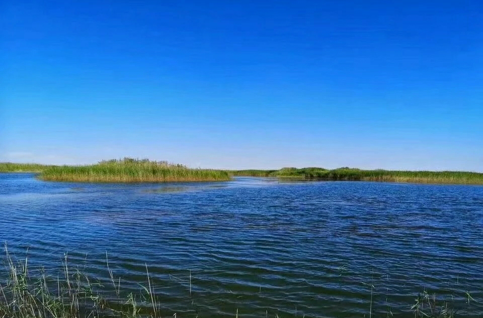 青土湖