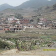 頭梅村