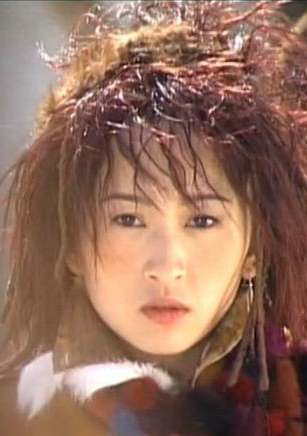 風雲Ⅱ(2004年趙文卓、何潤東主演電視劇) 風雲Ⅱ(2004年趙文卓、何潤東主演電視劇)