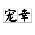 寵幸 寵幸