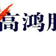 高鴻股份 高鴻股份