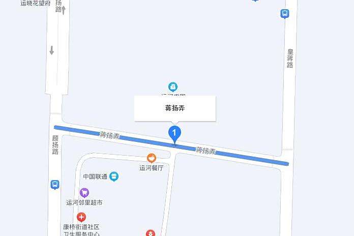 蔣揚弄