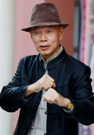 城市獵人(2014年林志穎、馬蘇主演電視劇)