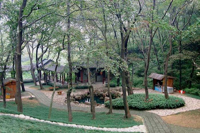 春燕村 春燕村