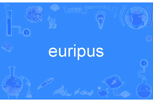 euripus euripus