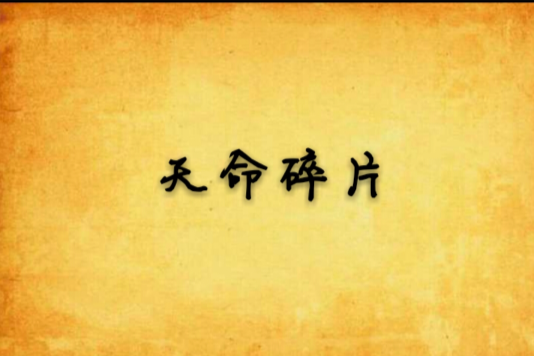 天命碎片 天命碎片
