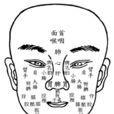 五藏 五藏