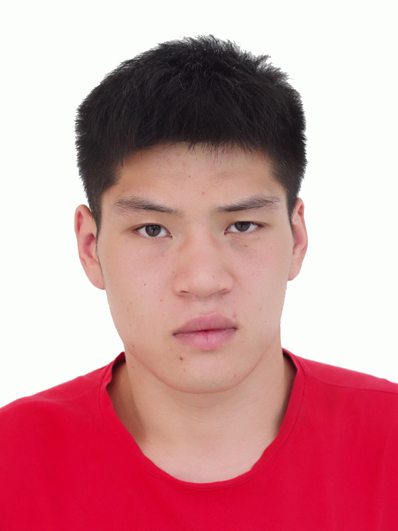 王振宇(中國武術散打運動員) 王振宇(中國武術散打運動員)