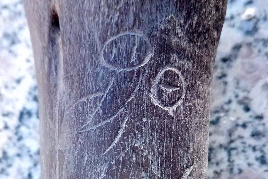 人面字 人面字