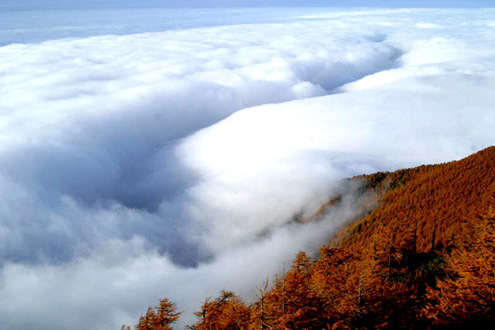 平安雲海 平安雲海