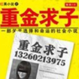 重金求子(出版小說) 重金求子(出版小說)