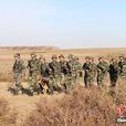 新疆生產建設兵團第十師一八六團