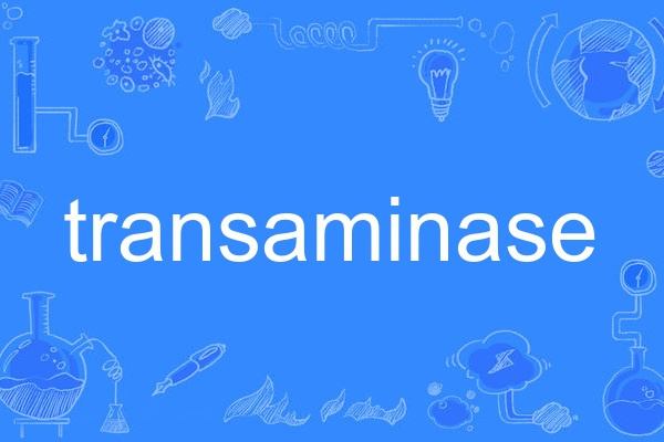 transaminase transaminase