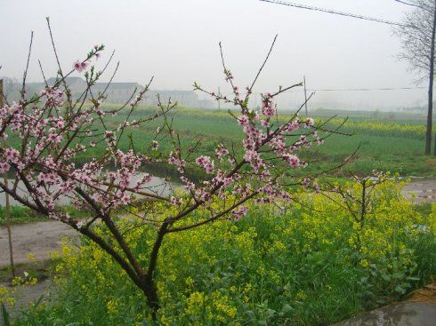 宛山村 宛山村