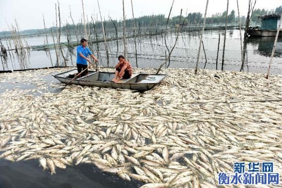 醬油湖 醬油湖
