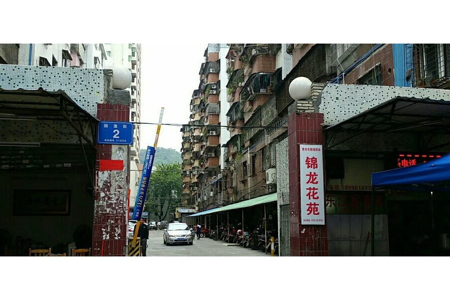 錦龍花苑