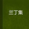 蘭丁集
