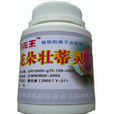 花朵壯蒂靈 花朵壯蒂靈