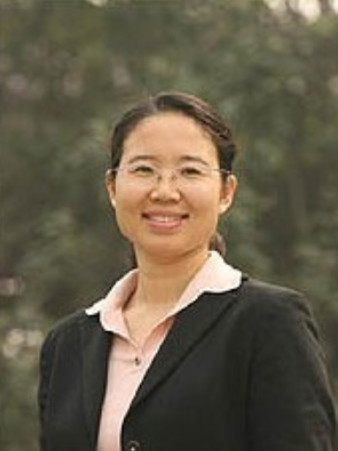 孫曉琳(西安財經大學教授) 孫曉琳(西安財經大學教授)