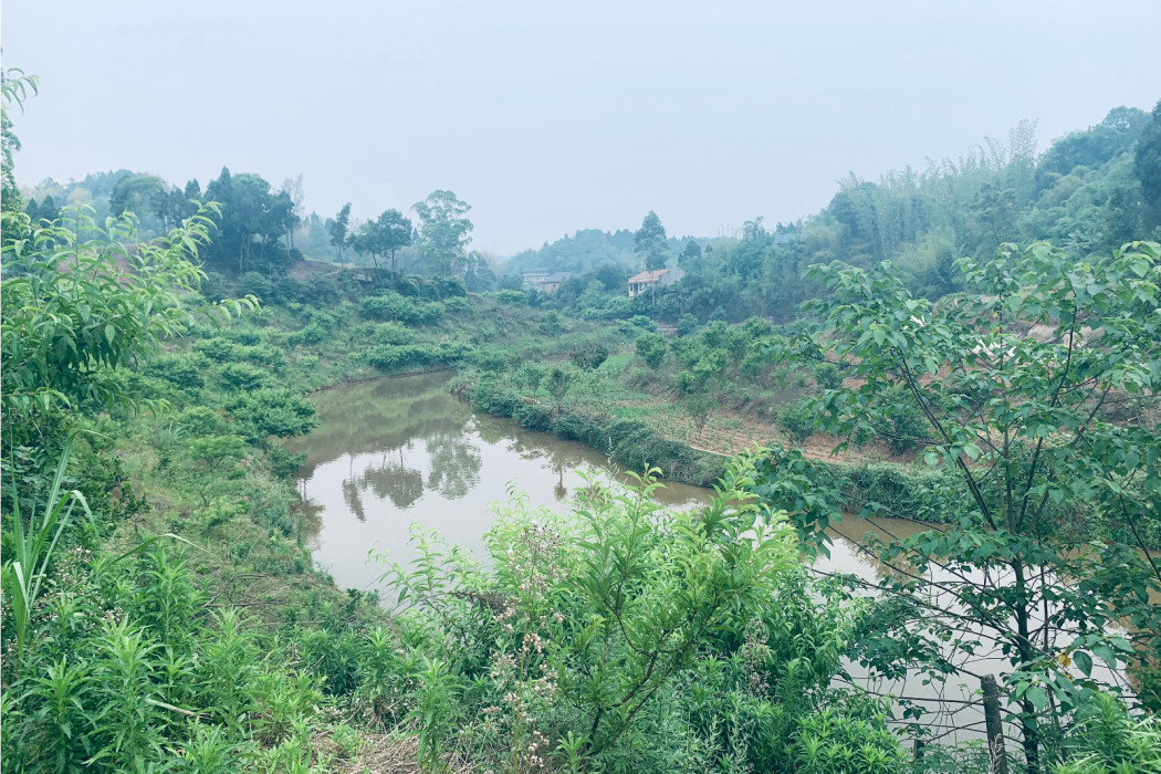 黃麻灘(四川省自貢市富順縣福善鎮象鼻村境內的一處景點) 黃麻灘(四川省自貢市富順縣福善鎮象鼻村境內的一處景點)
