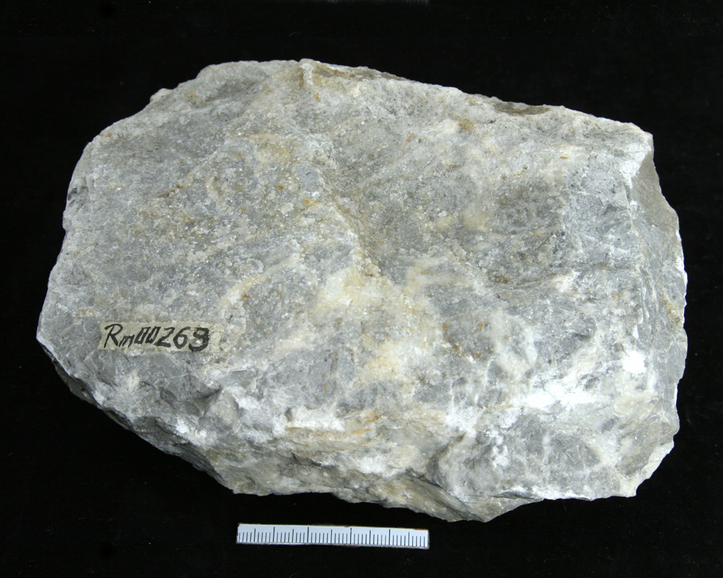 中國地質博物館石灰岩藏品圖片（二）