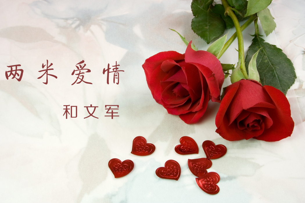 兩米愛情 兩米愛情
