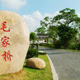 毛橋村(河南省新野縣溧河鋪鎮毛橋村) 毛橋村(河南省新野縣溧河鋪鎮毛橋村)