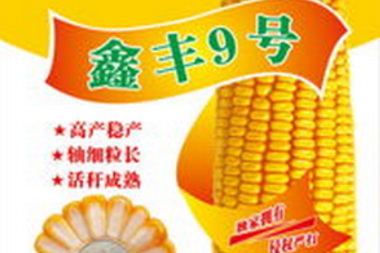 鑫豐9號 鑫豐9號