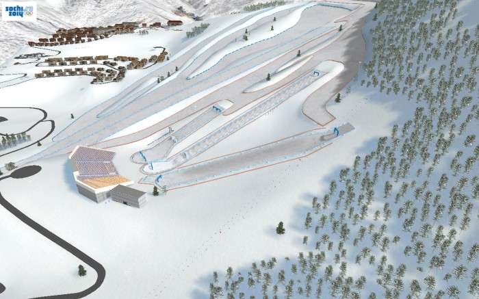 2014年索契冬季奧運會(索契冬奧會)