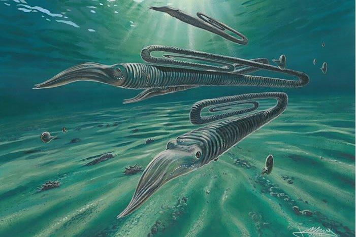 Diplomoceras maximum Diplomoceras maximum