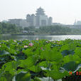 大周易村 大周易村