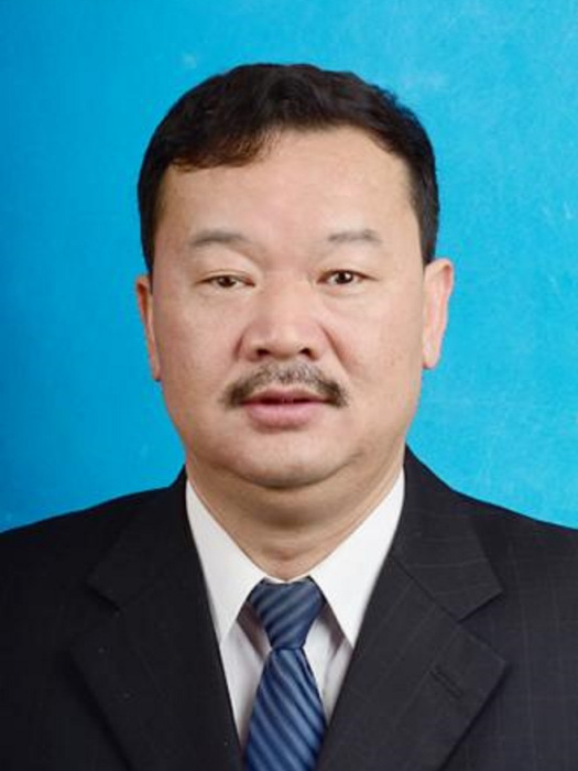 唐松(懷化市國有資產監督管理委員會黨委委員) 唐松(懷化市國有資產監督管理委員會黨委委員)