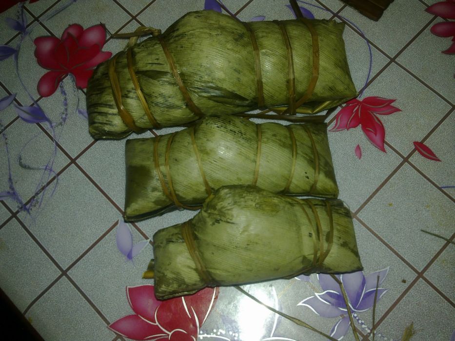鹹肉棕 鹹肉棕
