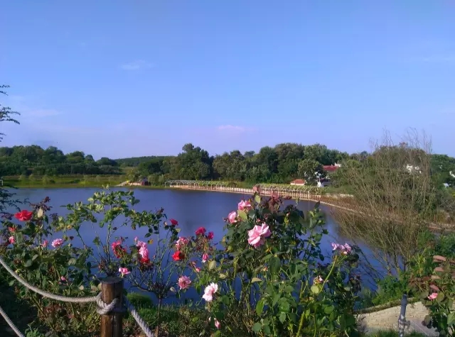 武漢木蘭玫瑰花園
