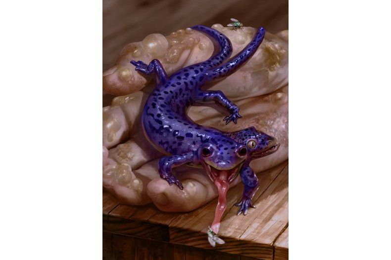 火蜥蜴(遊戲《巫師之昆特牌》中的卡牌) 火蜥蜴(遊戲《巫師之昆特牌》中的卡牌)
