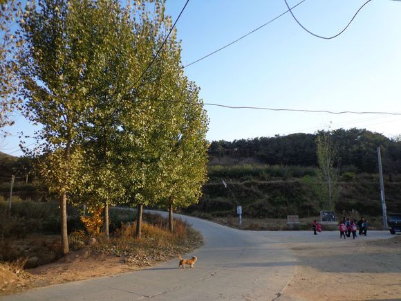 柳峪村(陝西省鹹陽市旬邑縣丈八寺鎮柳峪村)