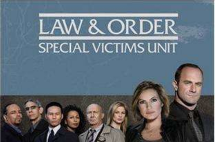 法律與秩序：特殊受害者第八季