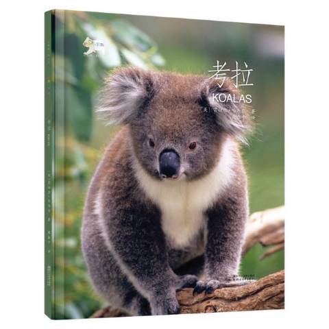 考拉(2018年浙江文藝出版社出版的圖書) 考拉(2018年浙江文藝出版社出版的圖書)